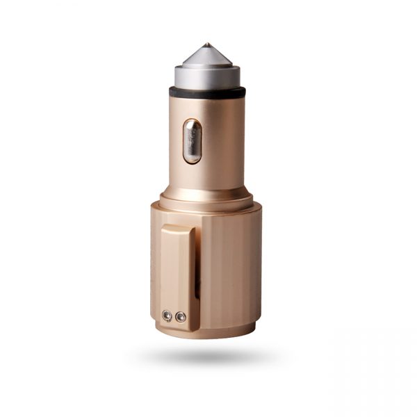 Quick Car Charger, 4.8A Dual USB Fast car charger with Life Guard Charge Technology In Gold